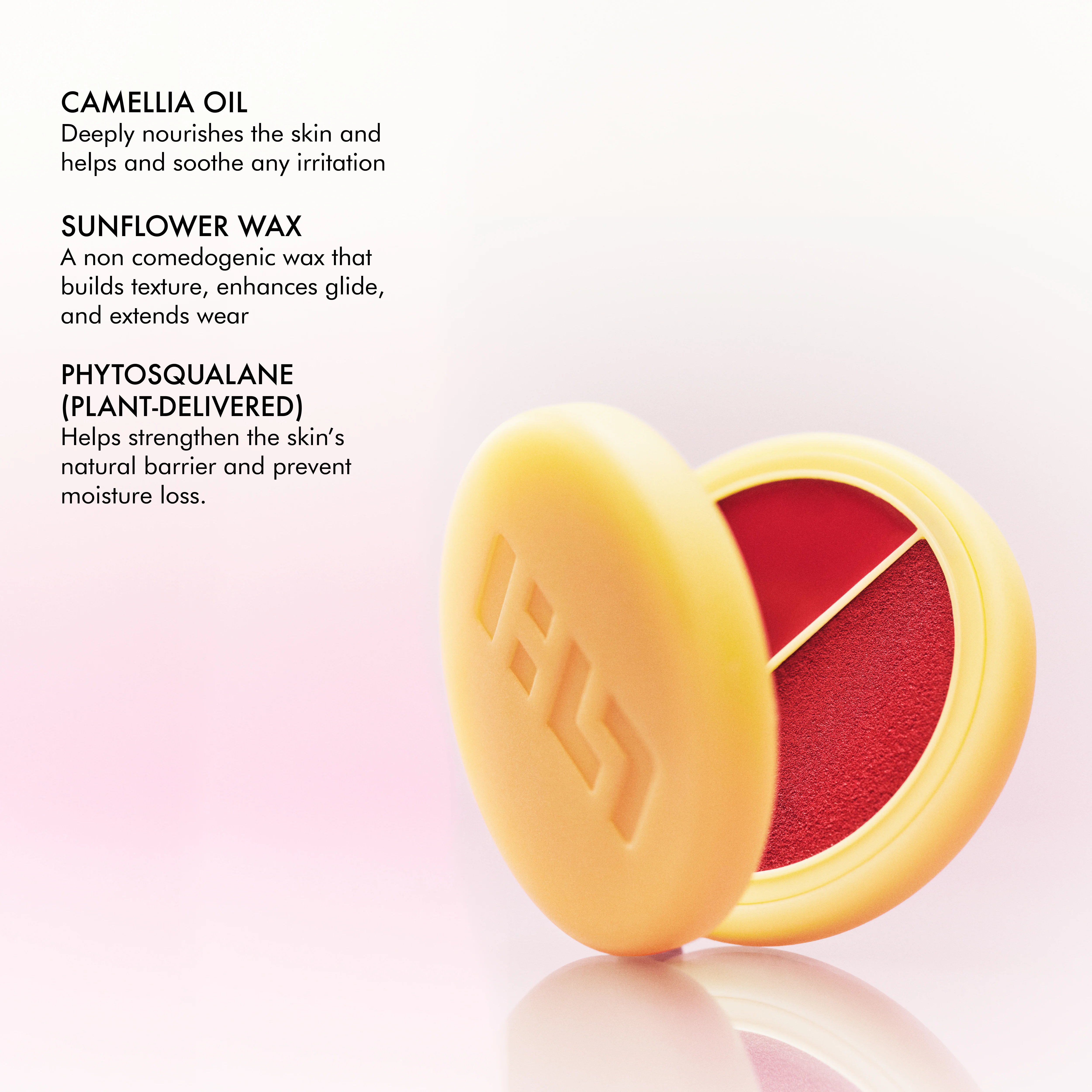 SOLAR TINT Blush Duo - Image 32